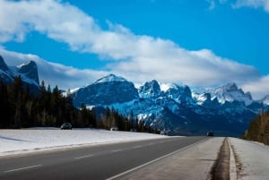 De Banff/Canmore: Tour guiado de um dia pelo Parque Nacional de Banff