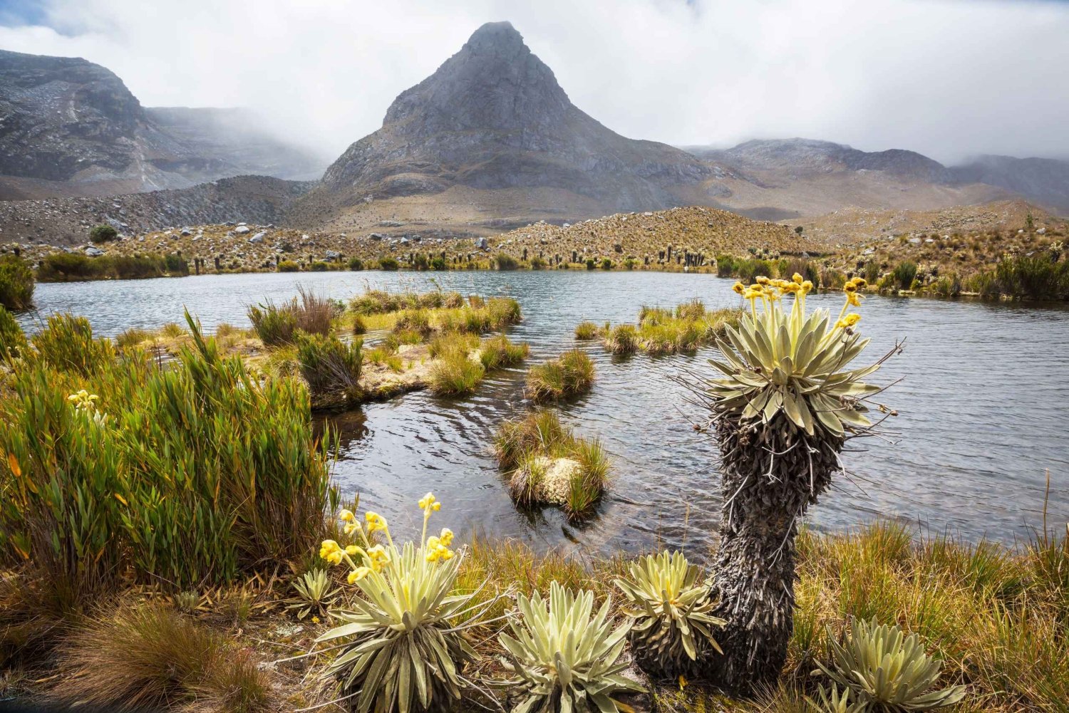 From Bogotá: Chingaza National Park Private Day Tour