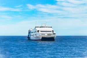 From Buenos Aires: Colonia Ferry Tickets and Optional Tour