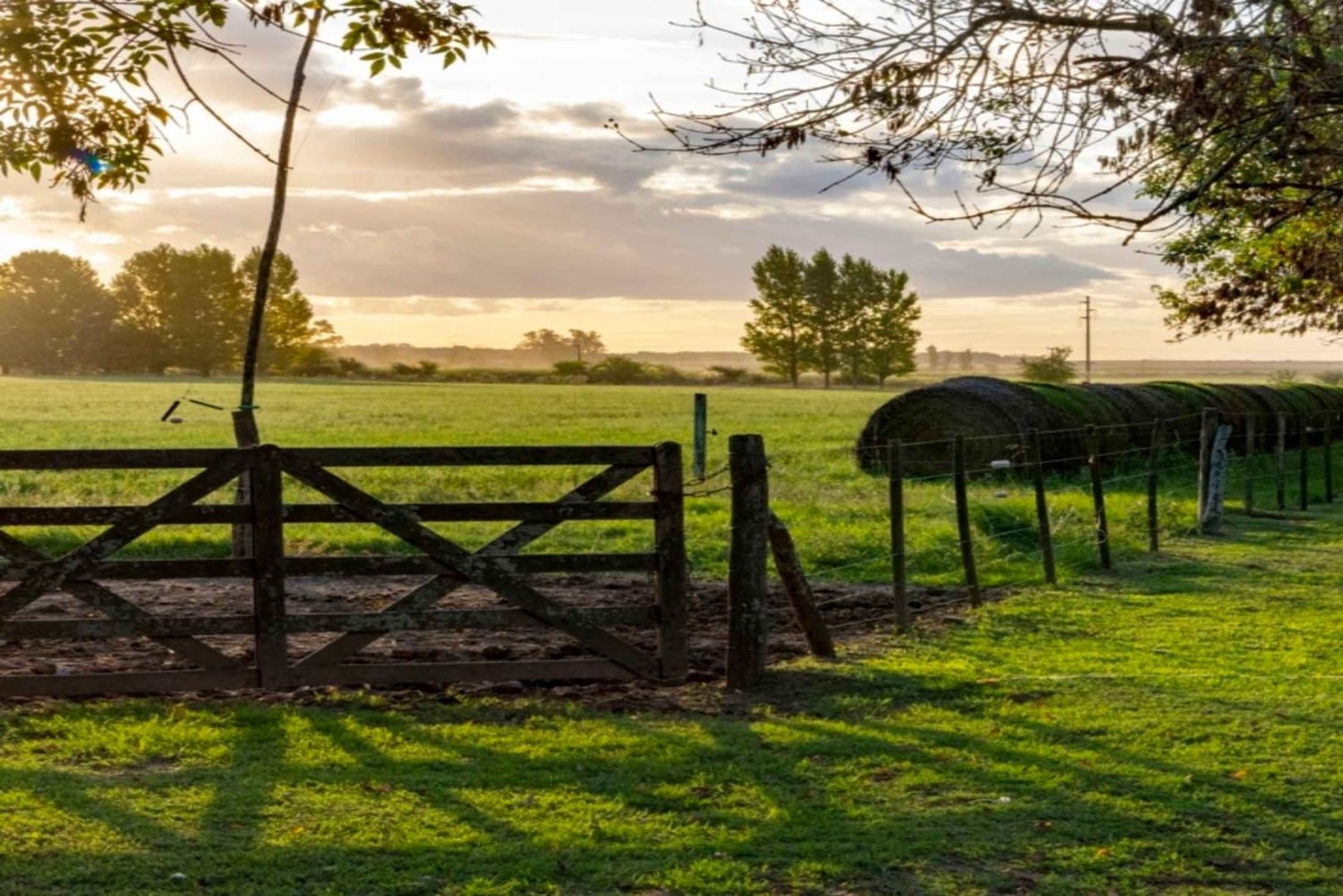 Från Buenos Aires: El Ombú de Areco med transfer