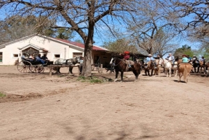 Från Buenos Aires: El Ombú de Areco med transfer