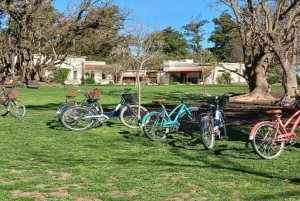 Från Buenos Aires: El Ombú de Areco med transfer