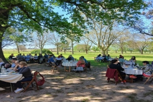 Från Buenos Aires: El Ombú de Areco med transfer