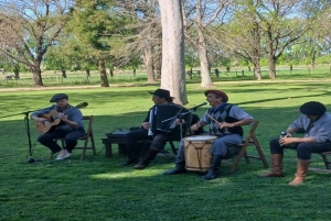 Från Buenos Aires: El Ombú de Areco med transfer
