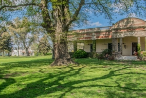 Från Buenos Aires: El Ombú de Areco med transfer