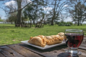 Från Buenos Aires: El Ombú de Areco med transfer