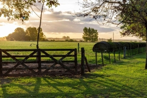 Från Buenos Aires: El Ombú de Areco med transfer