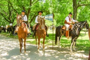 From Buenos Aires: Gaucho and Ranch Day Tour