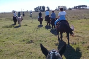 Buenos Airesista: Gaucho ja Ranch Day Tour
