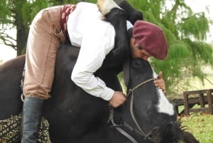 Buenos Airesista: Gaucho ja Ranch Day Tour