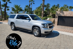 From Cabo San Lucas: La Paz Roundtrip