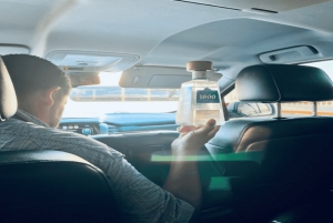 From Cabo San Lucas: La Paz Roundtrip