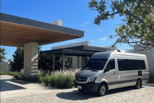 From Cabo San Lucas: La Paz Roundtrip