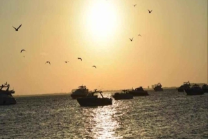 Desde Cancún Isla Mujeres en Catamarán de Lujo con Bebidas