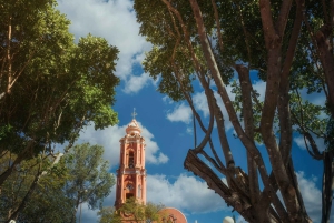 Depuis Cancún : visite privée de Chichen Itzá, Valladolid et Cenote