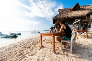 From Cancún: Puerto Morelos Guided Taco Tasting Tour