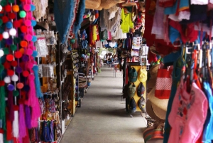 From Cancún: Puerto Morelos Guided Taco Tasting Tour