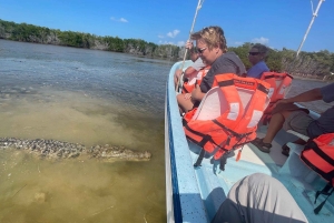 Fra Cancun: Dagstur til Rio Lagartos og Las Coloradas