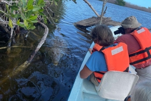 Fra Cancun: Dagstur til Rio Lagartos og Las Coloradas