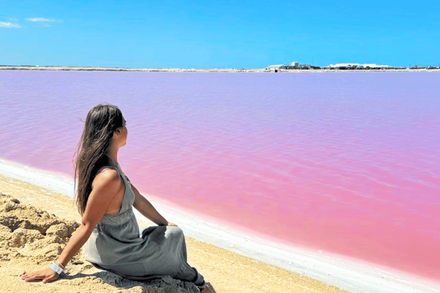 Desde Cancún: Excursión de un día y comida en Río Lagartos y Las Coloradas