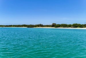Från Cancún: Dagstur och lunch till Rio Lagartos och Las Coloradas