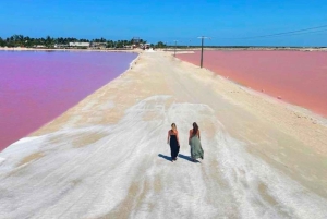 Da Cancún: escursione di un giorno al Rio Lagartos e Las Coloradas e pranzo