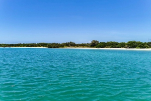 Da Cancún: escursione di un giorno al Rio Lagartos e Las Coloradas e pranzo