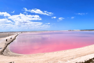 Da Cancún: escursione di un giorno al Rio Lagartos e Las Coloradas e pranzo