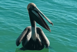 Da Cancún: escursione di un giorno al Rio Lagartos e Las Coloradas e pranzo