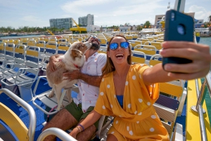 From Cancun: Round-Trip Ferry Ticket to/from Isla Mujeres