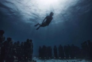 Vanuit Cancún: Snorkelen in Cozumel De Hemel