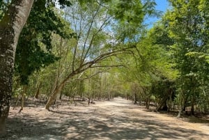 Vanuit Cancún: tour naar Tulum en Cobá met een bezoek aan een cenote en een lunchbuffet