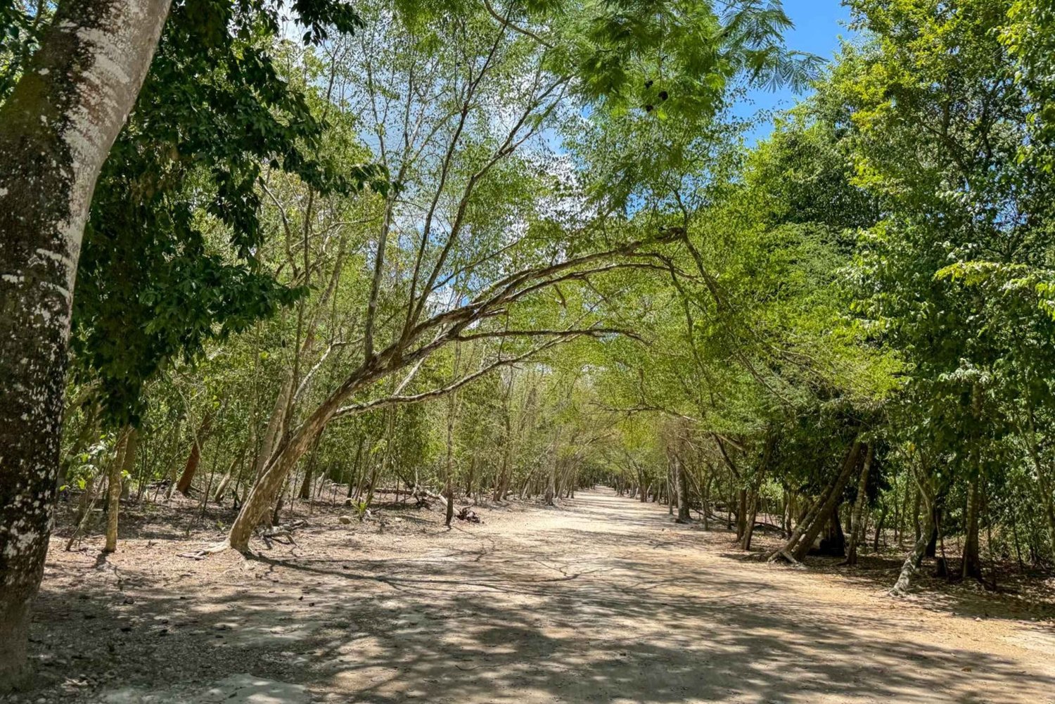 Från Cancún: Tur till Tulum och Cobá med besök till cenote och lunchbuffé
