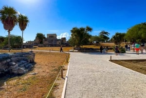 Från Cancún: Tur till Tulum och Cobá med besök till cenote och lunchbuffé