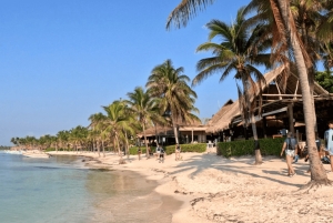 From Cancun: Tulum and Akumal Cenote and Turtle Swim Tour