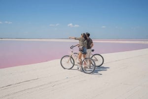 From Cancun/Tulum/Riviera: Las Coloradas & Rio Lagartos Tour