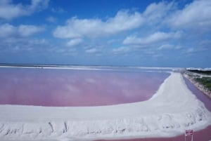 From Cancun/Tulum/Riviera: Las Coloradas & Rio Lagartos Tour