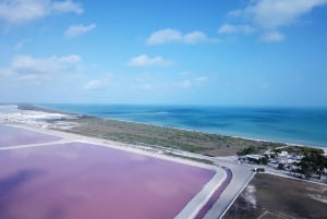 From Cancun/Tulum/Riviera: Las Coloradas & Rio Lagartos Tour