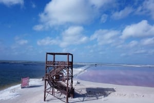 From Cancun/Tulum/Riviera: Las Coloradas & Rio Lagartos Tour