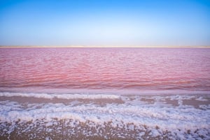 From Cancun/Tulum/Riviera: Las Coloradas & Rio Lagartos Tour