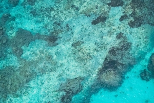 Z Kartageny: prywatny rejs wycieczkowy po wyspach Rosario