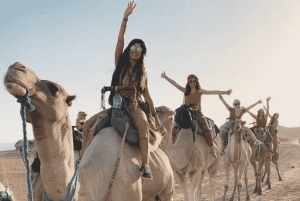 カサブランカ発：マラケシュ市内観光ツアー（ラクダ乗り体験付き）