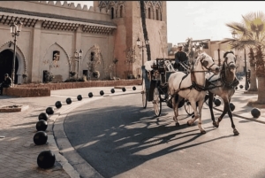 カサブランカ発：マラケシュ市内観光ツアー（ラクダ乗り体験付き）
