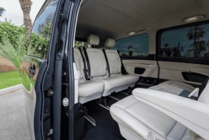 カサブランカ発：マラケシュ市内観光ツアー（ラクダ乗り体験付き）