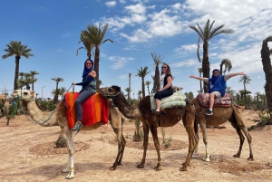 カサブランカ発：マラケシュ市内観光ツアー（ラクダ乗り体験付き）