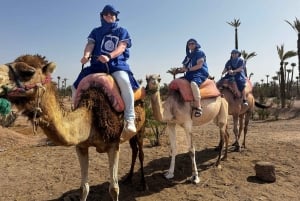 Von Casablanca: Marrakesch Tagesausflug und Kamelreiten