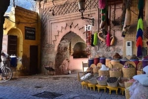 Von Casablanca: Marrakesch Tagesausflug und Kamelreiten