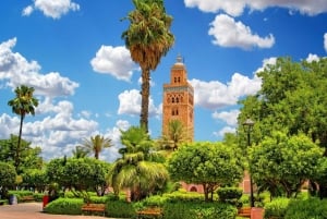 Von Casablanca: Marrakesch Tagesausflug und Kamelreiten