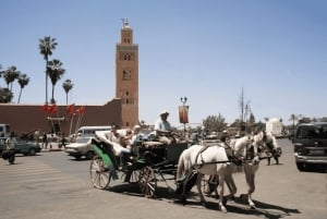 Von Casablanca: Marrakesch Tagesausflug und Kamelreiten
