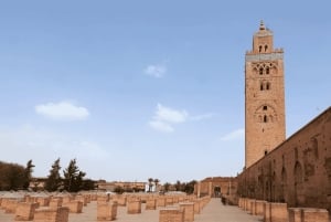 Von Casablanca: Marrakesch Tagesausflug und Kamelreiten